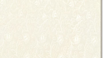 强劲陶瓷-渗花 - QTB6027 QTB8027 QTB10027