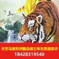 马赛克泳池拼图出现在千万泳池的成都天艺马赛克泳池拼图