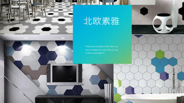 230x200彩色六角砖 仿古砖 耐磨砖 内墙砖 地砖