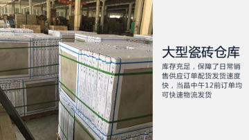 230x200爵士白六角砖 耐磨砖 仿古砖 防滑砖 厨房砖 地砖 墙砖