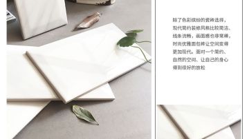 100x200 斜边爵士白 卡拉拉 釉面砖 厨房砖 卫浴砖 小瓷片