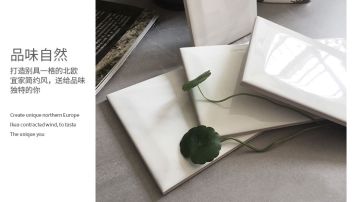 100x200 斜边爵士白 卡拉拉 釉面砖 厨房砖 卫浴砖 小瓷片