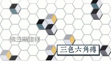 230x200三色六角砖 耐磨砖 仿古砖 阳台砖 地砖