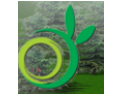 [姚氏腻子]中国梦，姚氏梦，我们的梦！