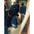 小海鸥贝壳粉