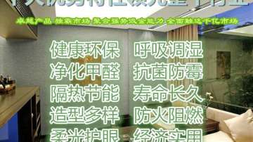 硅藻泥 中鼎硅藻泥厂家 绿之林硅藻泥施工