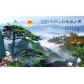 环保背景墙 硅藻泥背景墙 中鼎背景墙施工