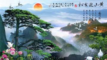 环保背景墙 硅藻泥背景墙 中鼎背景墙施工