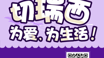 切瑞西可以用防腐木上的木蜡油