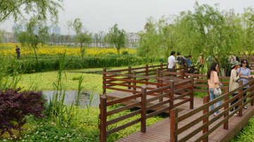 切瑞西木蜡油环保健康，为家铸就美好生活