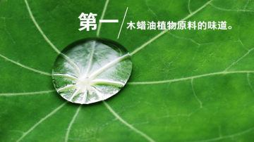 木蜡油、油漆、水性漆疑问解答