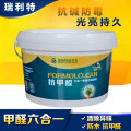 环保无毒抗甲醛六合一涂料，绿色环保净醛净味六合一涂料