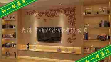 硅藻泥十大功能