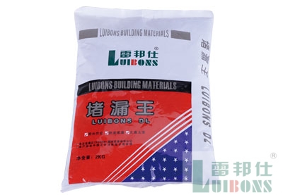 雷邦仕堵漏王