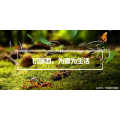 为什么木蜡油能还原木质家具的天然纹理？