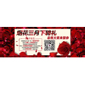 切瑞西答题充话费活动的答题范围
