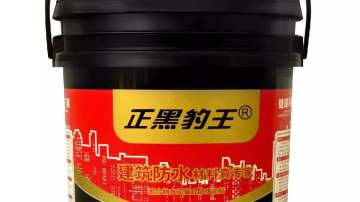 正黑豹王