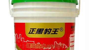正黑豹王
