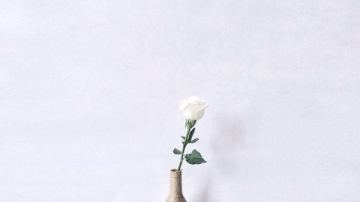 梅雨季节木材多烦忧，切瑞西木蜡油有招可解
