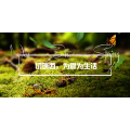 切瑞西木蜡油，我的生活我做主！