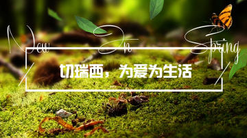 切瑞西木蜡油，我的生活我做主！