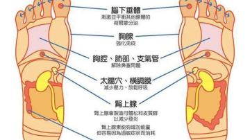 为什么夏天炎热的时候更应该注意脚部保暖呢？