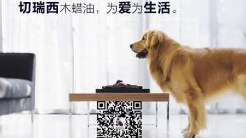 实木门没用多久就开裂了，是刷了木蜡油的原因吗？