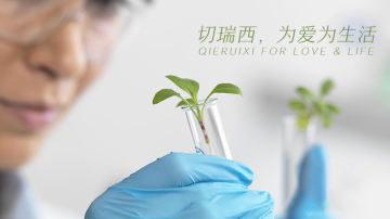 国内外企业大不同：先赚钱还是做品牌，这是个问题