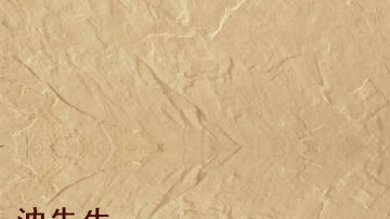 广西崇左软瓷 百代软瓷砖 广西崇左软瓷