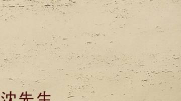 广西软瓷广西软瓷产品