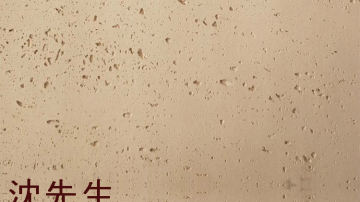 广西软瓷广西柔性饰面砖
