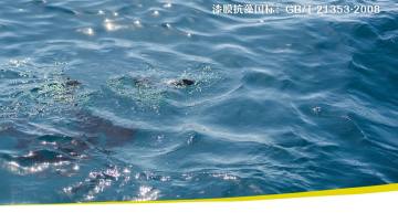生态池漆，水池漆，水泥池漆