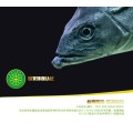 清水槽漆，水槽漆，养殖槽漆