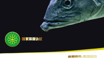 清水槽漆，水槽漆，养殖槽漆