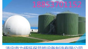 沼气发酵罐厌氧发酵罐发酵罐价格