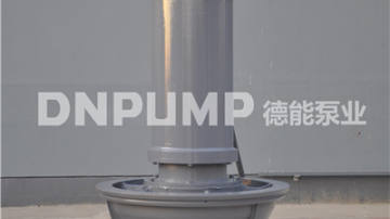 350QZ轴流泵