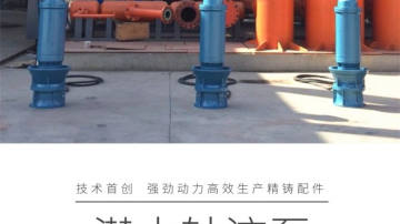 排涝用轴流泵