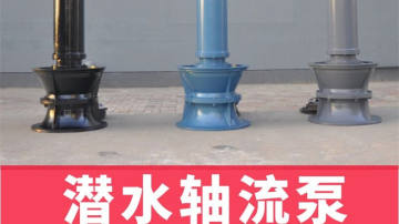 600QZ潜水轴流泵厂家
