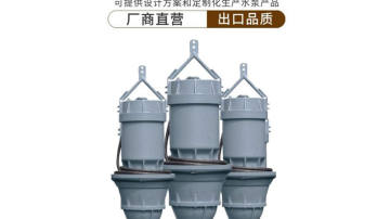 500QZB轴流泵厂家