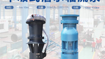 简易式潜水轴流泵型
