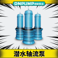 900QZB潜水轴流泵