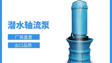 700QZB轴流泵厂家