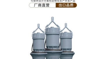 600QZB潜水轴流泵厂家