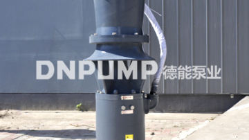 简易式轴流泵图片
