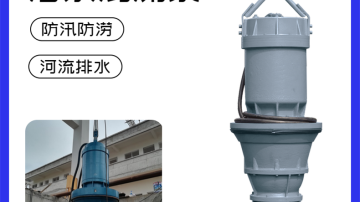 600QZ轴流泵厂家