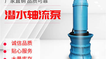 700QZB潜水轴流泵生产厂家