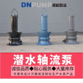 潜水轴流泵厂家图片及型号