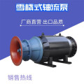 600QZB轴流泵生产厂家