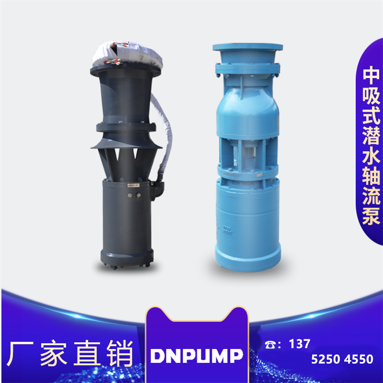 中吸轴流泵价格及厂家