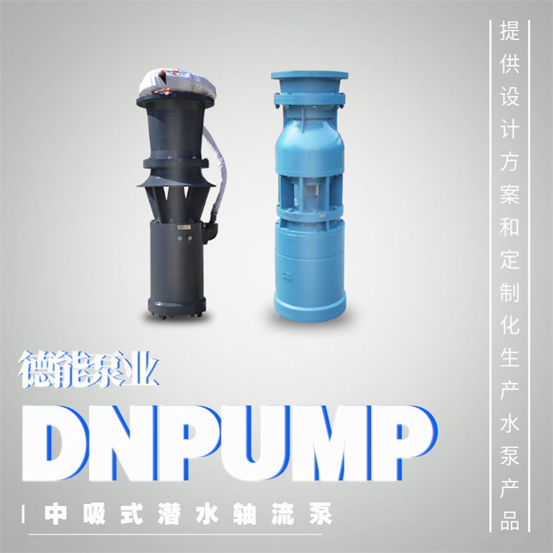 中吸轴流泵价格及参数